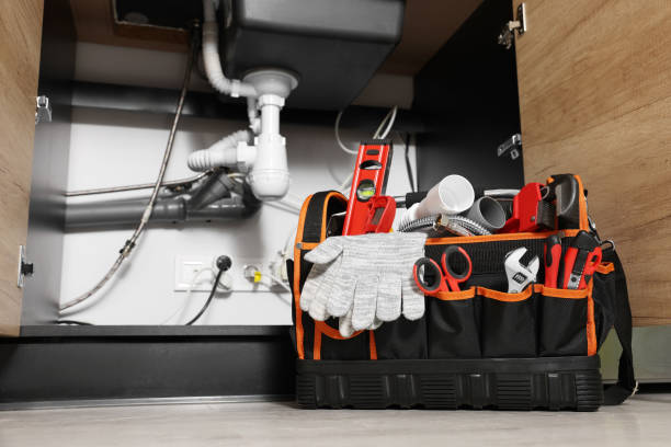 Best Clogged Drain Plumber  in Eldorado, TX
