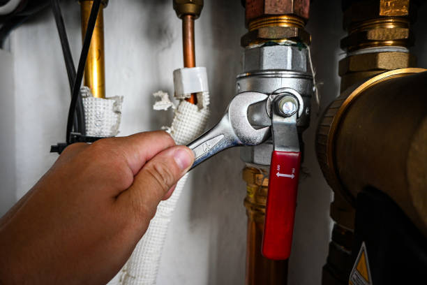 Best Plumbing Inspection Services  in Eldorado, TX